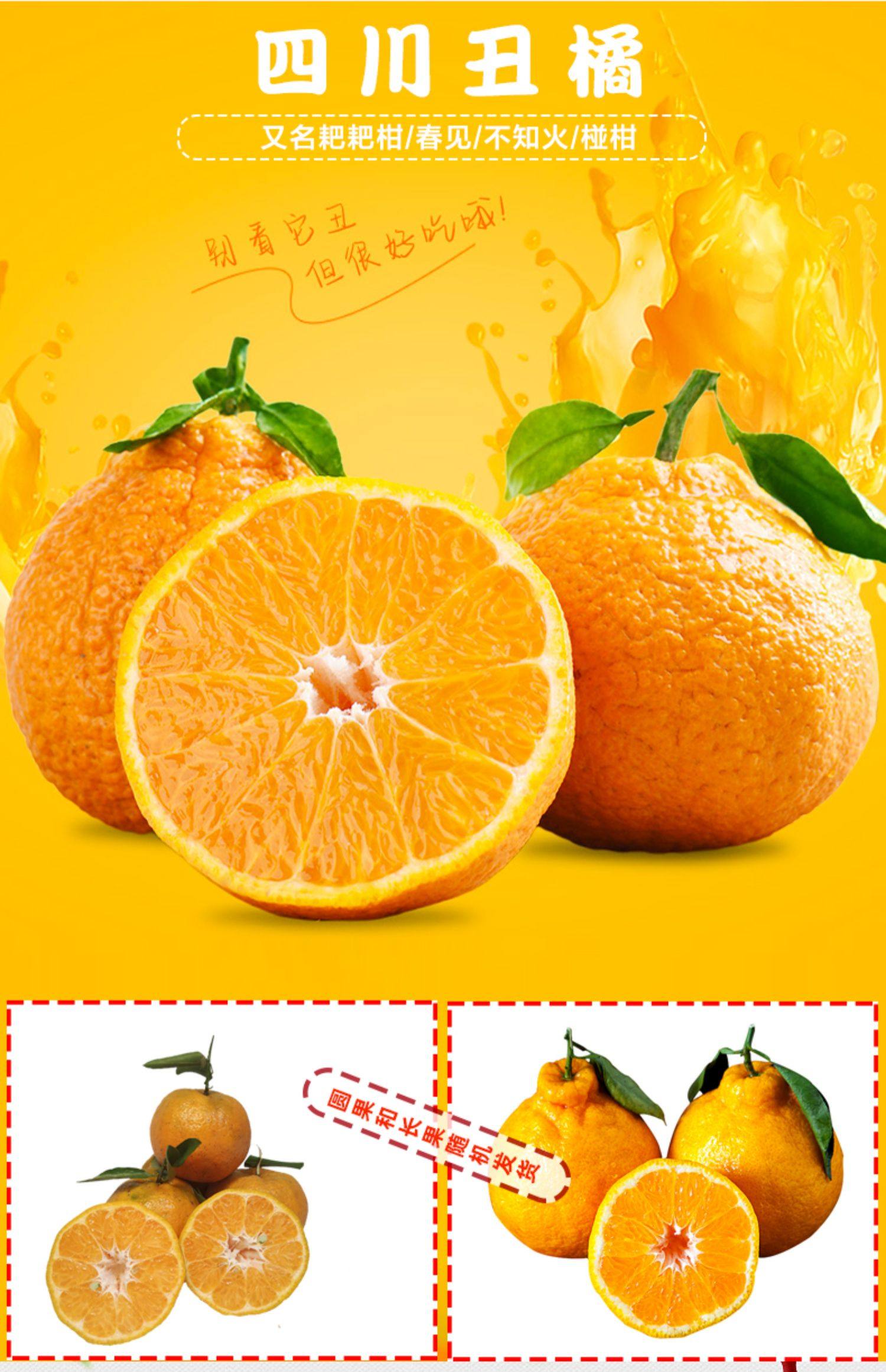 善食源四川丑橘5斤丑柑新鲜桔子丑八怪甜柑橘不知火整箱当季水果_小青