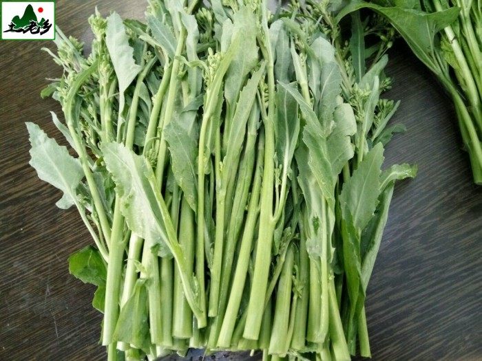 新鲜芥兰菜小芥蓝农家自种本土蔬菜时令菜青菜鲜芥菜苔菜心500g装