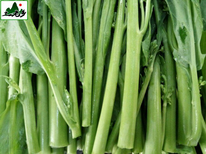 新鲜芥兰菜小芥蓝农家自种本土蔬菜时令菜青菜鲜芥菜苔菜心500g装