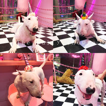 Medium-sized dog large dog unicorn headgear net red headgear pet dress-up photography props big dog unicorn hairband