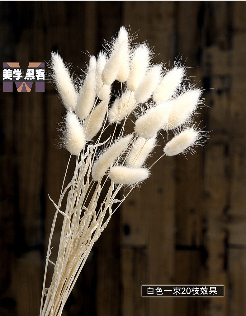 网红花束兔尾草干花装饰ins干花花束风干花束真花家居摆设干枝花