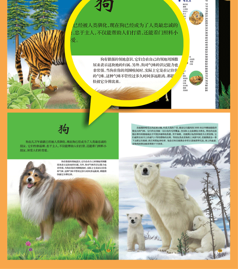 正版包邮 百科全书恐龙动物海洋植物地球宇宙 儿童大百科 全彩手绘