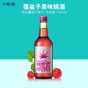 宝海韩国原装进口覆盆子果味烧酒女士酒低度酒水果甜酒微醺不醉