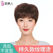 Wig female hair real hair set fluffy natural breathable curls middle and elderly mother lady skinhead