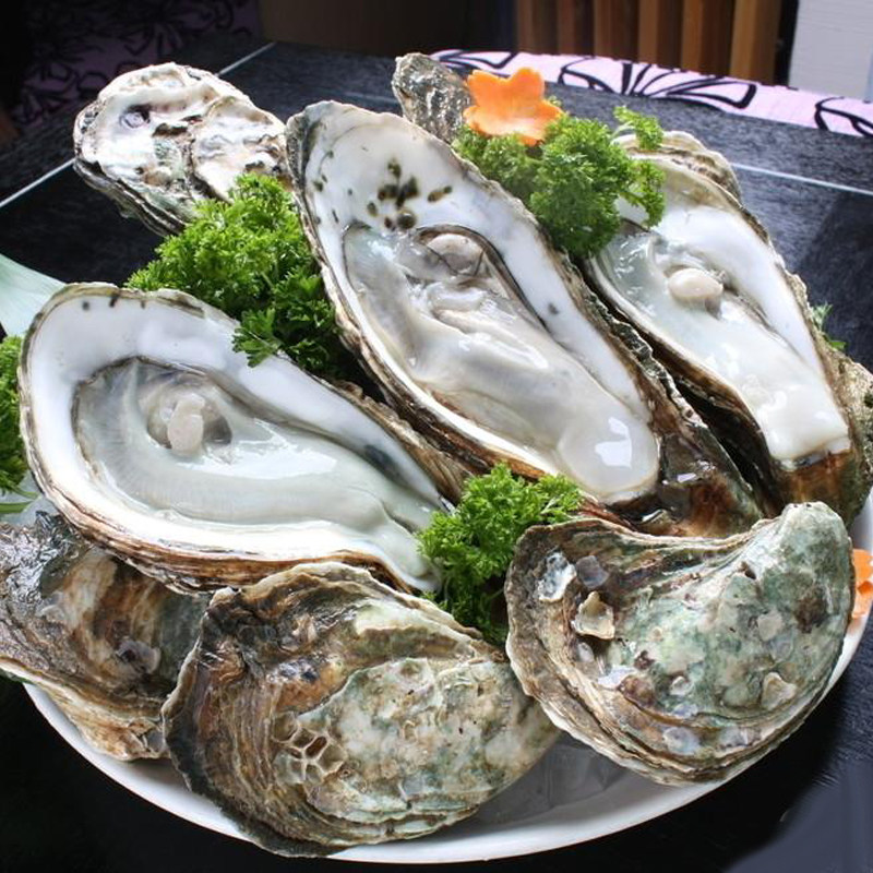 海鲜水产鲜活生蚝500g烧烤食材新鲜海蛎子连云港特产带壳新鲜牡蛎_7折