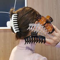 Grab Clip Amber Print Bath Big Dial Hair Clip After Hairpin 100 Hitch Temperament 100 Catch Shark Clip Hairpin Hairpin