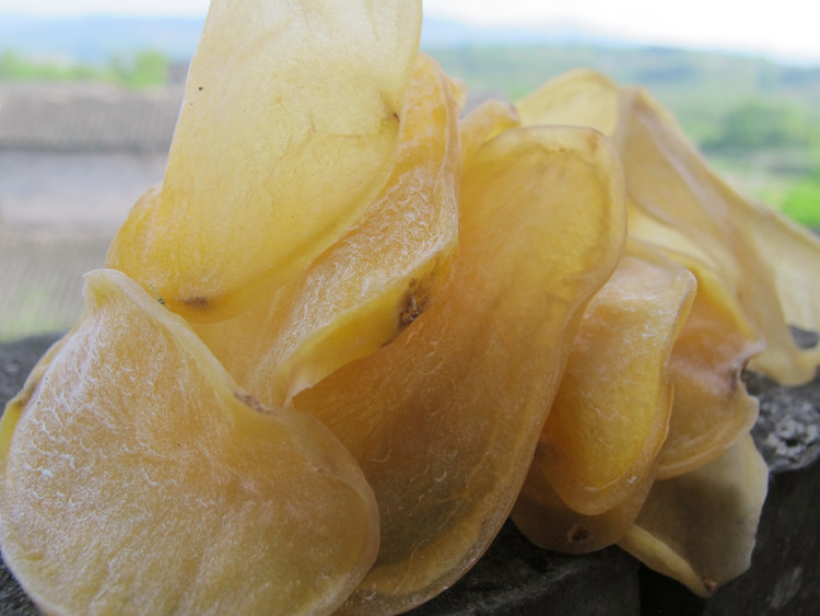 豆片干洋芋片片重庆农家自产干货土特产 干土豆片
