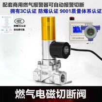 Natural gas explosion-proof solenoid valve gas solenoid emergency cut-off valve DN25 40 50 80 100 150 200