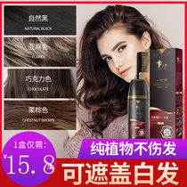 Hair Dye 2022 Popular Color Presentation White Black Tea Female Bubble Natural Non-irritating Plant Pure Home Dye Hair Cream