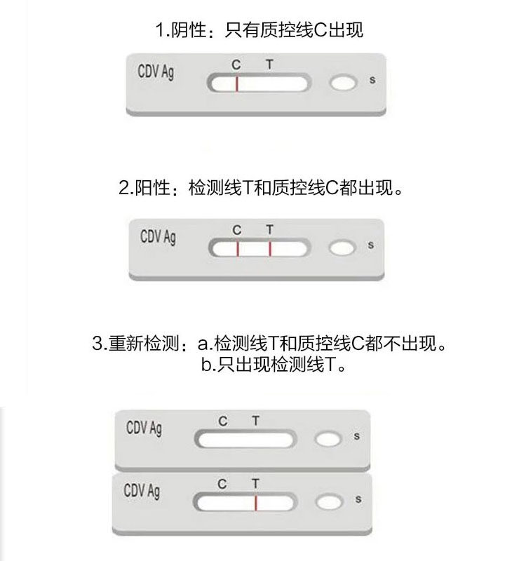 犬瘟病毒测试纸cdv试纸犬瘟试纸犬瘟热测试cdv测试纸