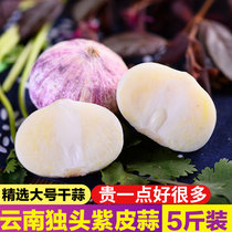 5kg of Yunnan Dali purple skin garlic single head garlic new garlic fresh vegetables big dried garlic black garlic red round