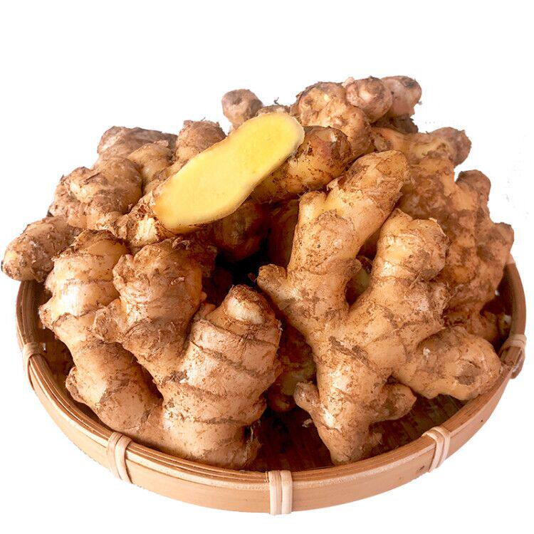 5斤云南文山小黄姜姜新鲜现挖