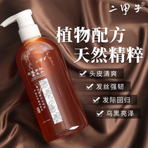 Dimzi Ganoderma Lucidum Herbal Shampoo Changbai Mountain Ganoderma Lucidum Essence Anti-dandruff repair anti-itching shampoo and oil control 500ml
