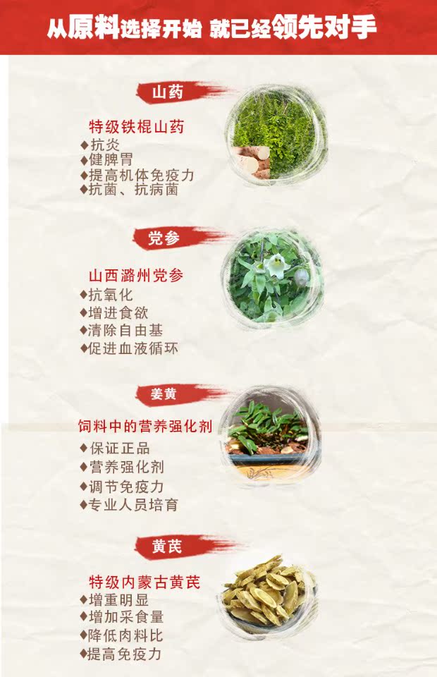 母猪专用产仔多不便秘肢蹄健康母猪饲料 5‰妊