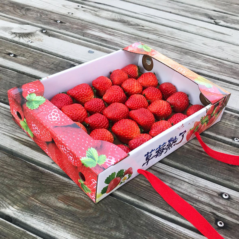 2-3斤有机草莓包装盒手提草莓包装草莓盒子精品高档草莓礼盒透明