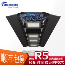 New Mai Guangr5 seawater lamp full spectrum seawater lamp coral lamp LED lamp fish tank coral lamp sea cylinder lamp
