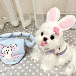 Spring and summer pet clothing for cats and dogs Internet celebrity white and purple color matching Miffy bunny waffle style sweatshirt