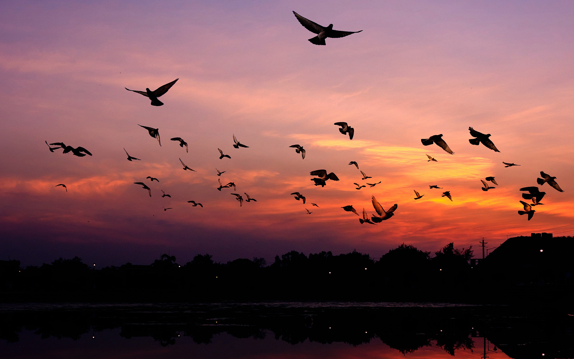 唯美意境夕阳美景图片桌面壁纸