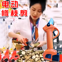 Electric pruning scissors Fruit tree scissors branch scissors Lithium rechargeable scissors Garden pruning coarse branch scissors electric scissors