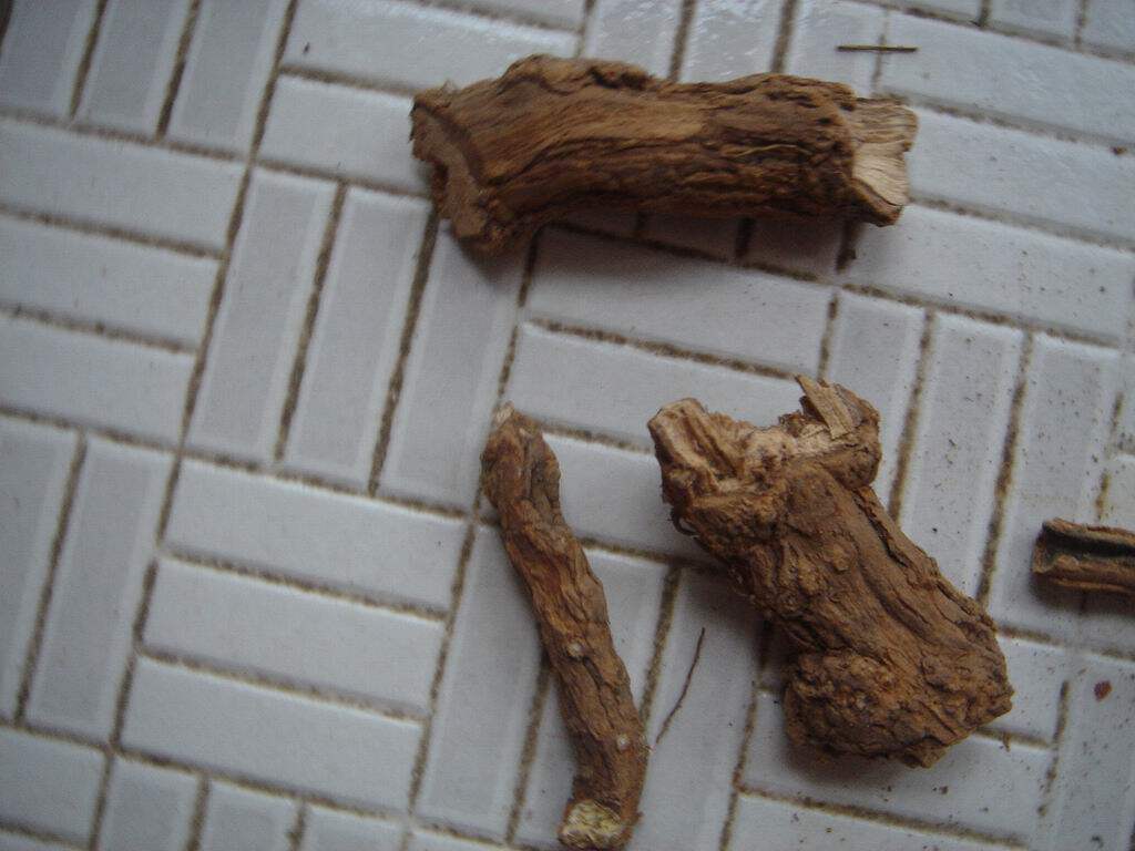 靠山村野生 新货 地骨皮 枸杞根 纯根不碎 无熏蒸 枸杞头 500克