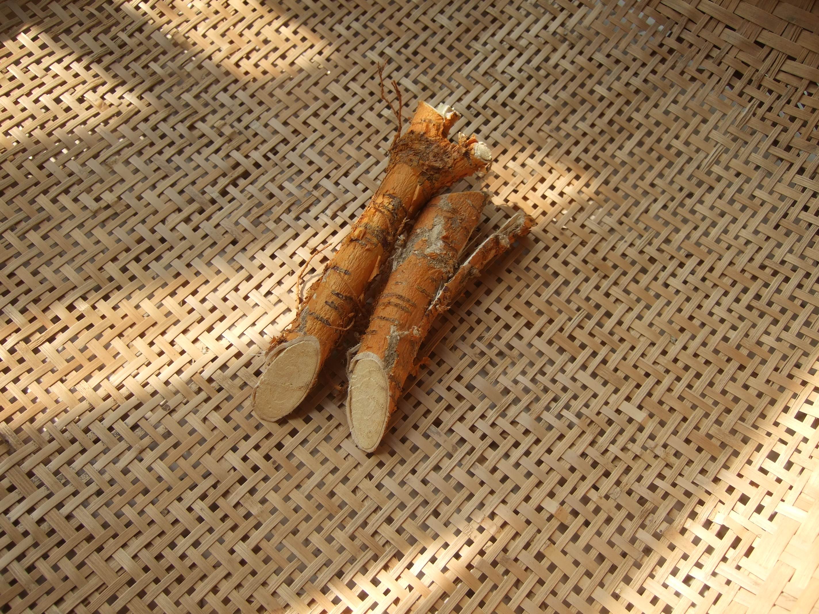 野生 桑树根老桑头老桑树根 新货 桑葚树根 桑椹根 250克 2斤包邮