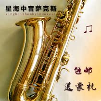 New instrument Alto saxophone XAS-100 E-down saxophone instrument beginner exam performance