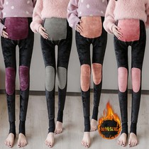 Spring and autumn pregnant women trousers plus velvet padded belly pants warm and protective Palace one socks pants autumn and winter trousers