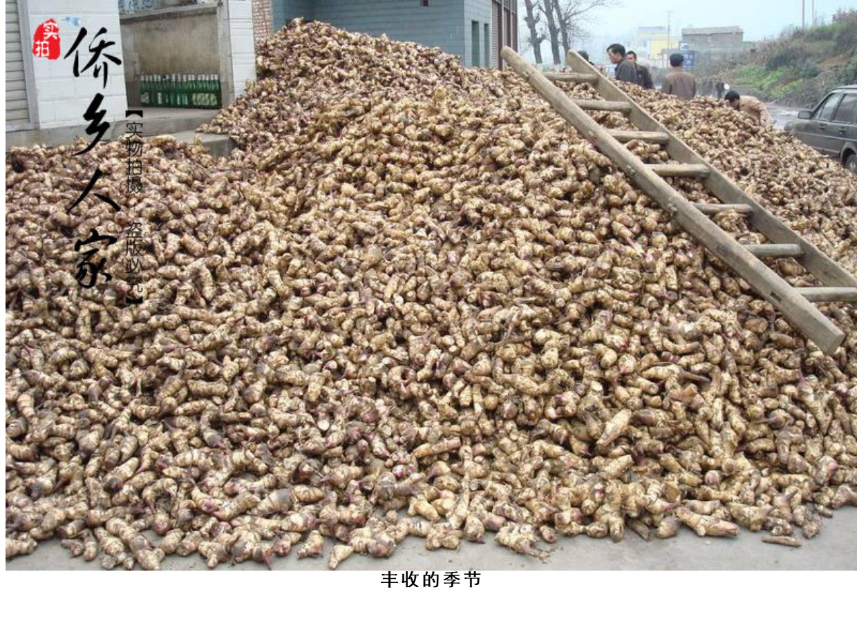 妈妈自制竹芋 蕉芋粉 姜芋 清热毒 腹泻 纯正无添加剂 两斤包邮