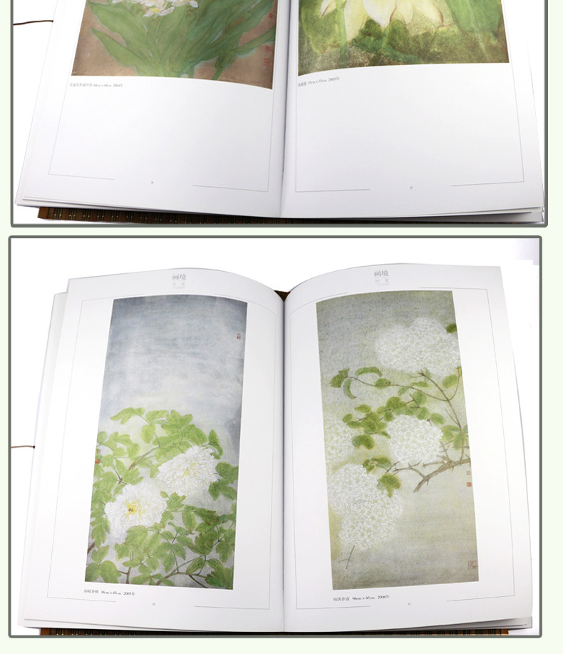 画境 叶芃工笔花鸟画探微 美术书籍 美术教材 画境系列 安徽美术出版