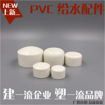 PVC water supply pipe fittings Block head 20 25 32 40 50 63 75 90 110 160