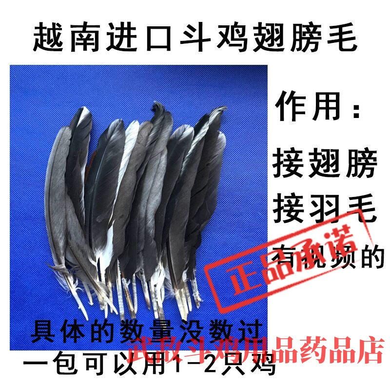 Fighting Chicken Wool Fighting Chicken Supplies Fighting Chicken Wings Feather Cockpit Chicken Training Supplies Bucket Chickens to pick up Feather D-Taobao