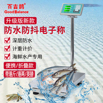 Hong Kong says 16-two Guangdong Guangdong-Guangdong-balanced counting scales weighing new meter weighing scale says 60150 kg