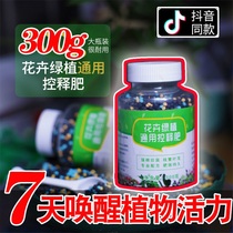 Flower Green Plant Universal Controlled Release Fertilizer Long-lasting Mild Granular Fertilizer Fruit Vegetable Cultivation Control Fertilizer Fertilizer Fertilizer Fertilizer Plant Fertilizer Plant Fertilizer