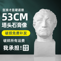 Garmina head plaster art teaching aids plaster head sculpture plaster sculpture sketch model