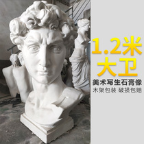 1 2 meters with base David art teaching aids sketch David plaster portrait big large art teaching aids sculpture