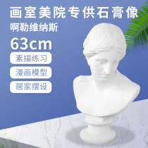 63CM Als Venus bust figure Gypsum statue plaster head art plaster teaching aids sculpture ornaments