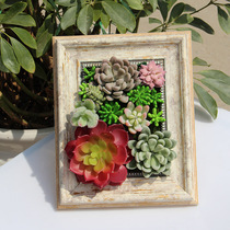 Old fleshy photo frame imitation wood grain frame micro landscape flower pot plant Wall Wall Wall plant combination potted