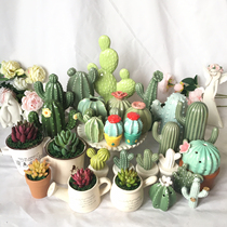 Brief Nordic American Countryside Home Courtyard Decoration Handicraft Simulation Scenario Ceramic Cactus Pendulum powder bottle