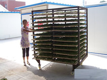 Lepner custom stainless steel rack cart containing Chinese herbal vegetables and other baked goods bread baking rack cart