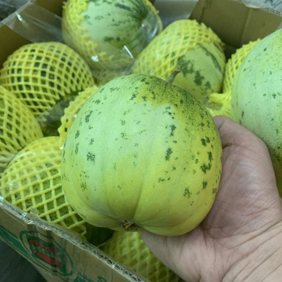 花皮甜瓜新鲜5斤包邮花皮甜瓜 花蕾 八里香 冰糖子老面瓜老人水果