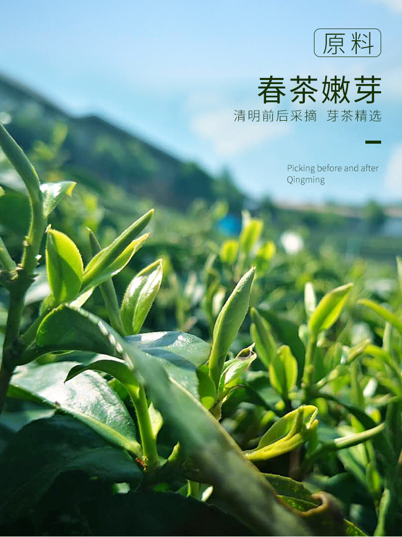 19年春茶台湾高山茶乌龙茶茶叶清香型有机茶100g罐装功夫茶礼盒装