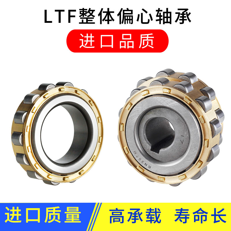 Special RN205 integral eccentric bearing sleeve 309 wheel cam for eccentric bearing RN307 swing reducer