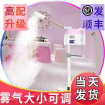 Taidong flagship store Cold spray machine beauty salon Steam face machine Cold spray face hydration instrument Beauty instrument sprayer beauty salon