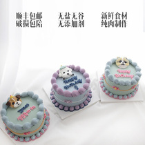 COCOBA pooch birthday cake kitty with hand-painted avatars snacks teddy pets custom Korea handmade homemade