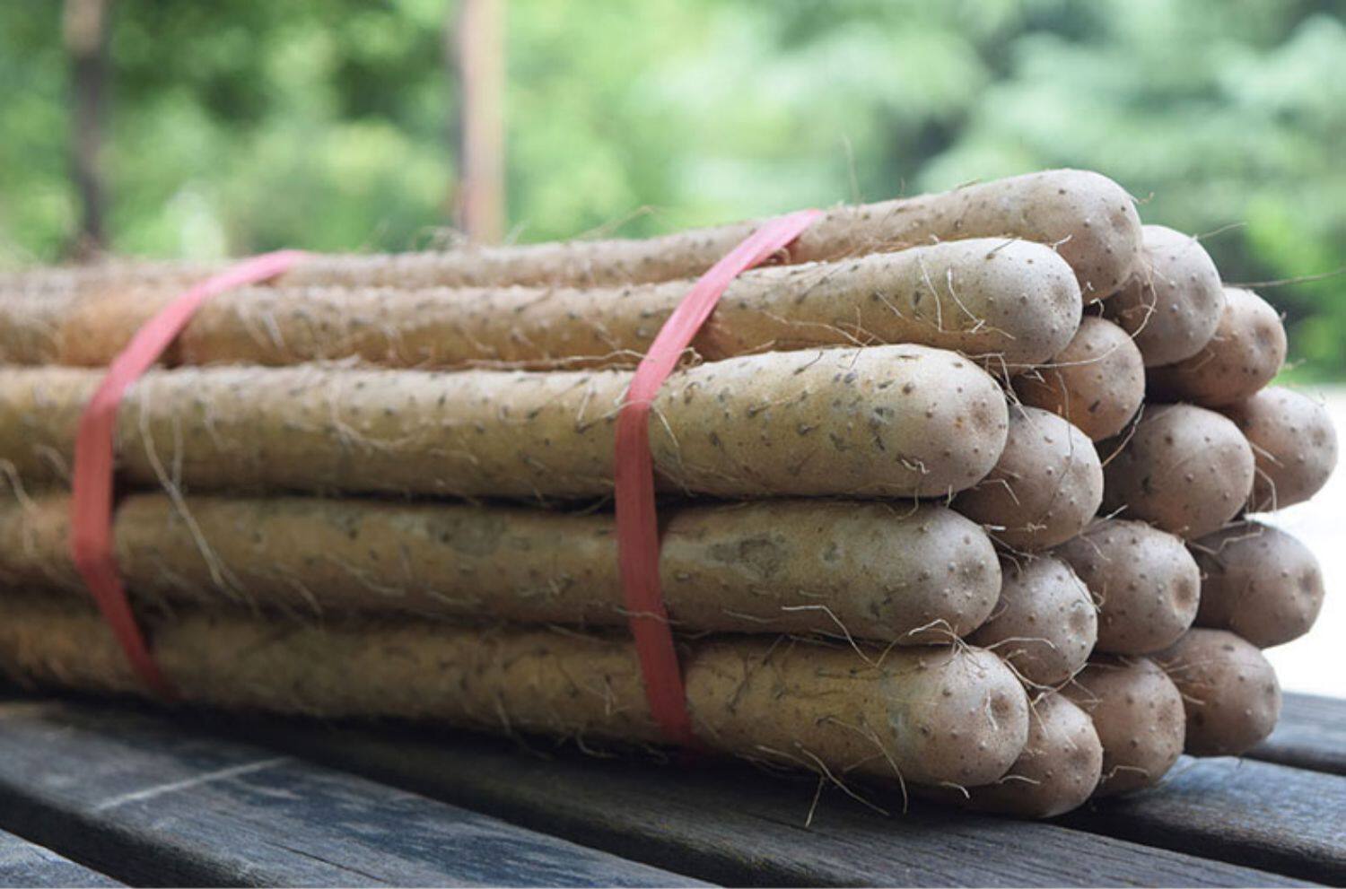 怀府人家温县铁棍山药旗舰店河南焦作淮山药铁杆怀山药新鲜5斤