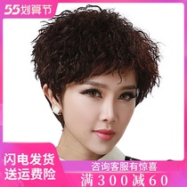 Wig Lady Short Hair Total Headgear Wool Roll Wig Cover Short Curly Hair Mid Aged Mother Nature Net Redness Hair