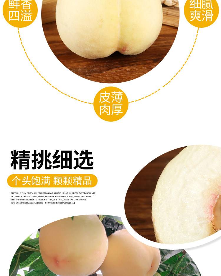 白桃新鲜水果蒙阴秋白桃大白桃脆甜水蜜桃雪桃5斤白玉桃大桃