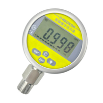 Numerical Intelligent Pressure Gauge