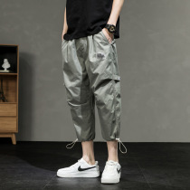 Tide Summer Seven Minutes Leisure Pants Mens Japanese Large Code Pump Bench Pants Han Current Thin Workwear Pants