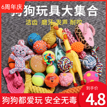 Pet dog toy products Bite-resistant grinding of teeth to relieve boredom Sound plush puppy screaming chicken puppy Teddy toy ball